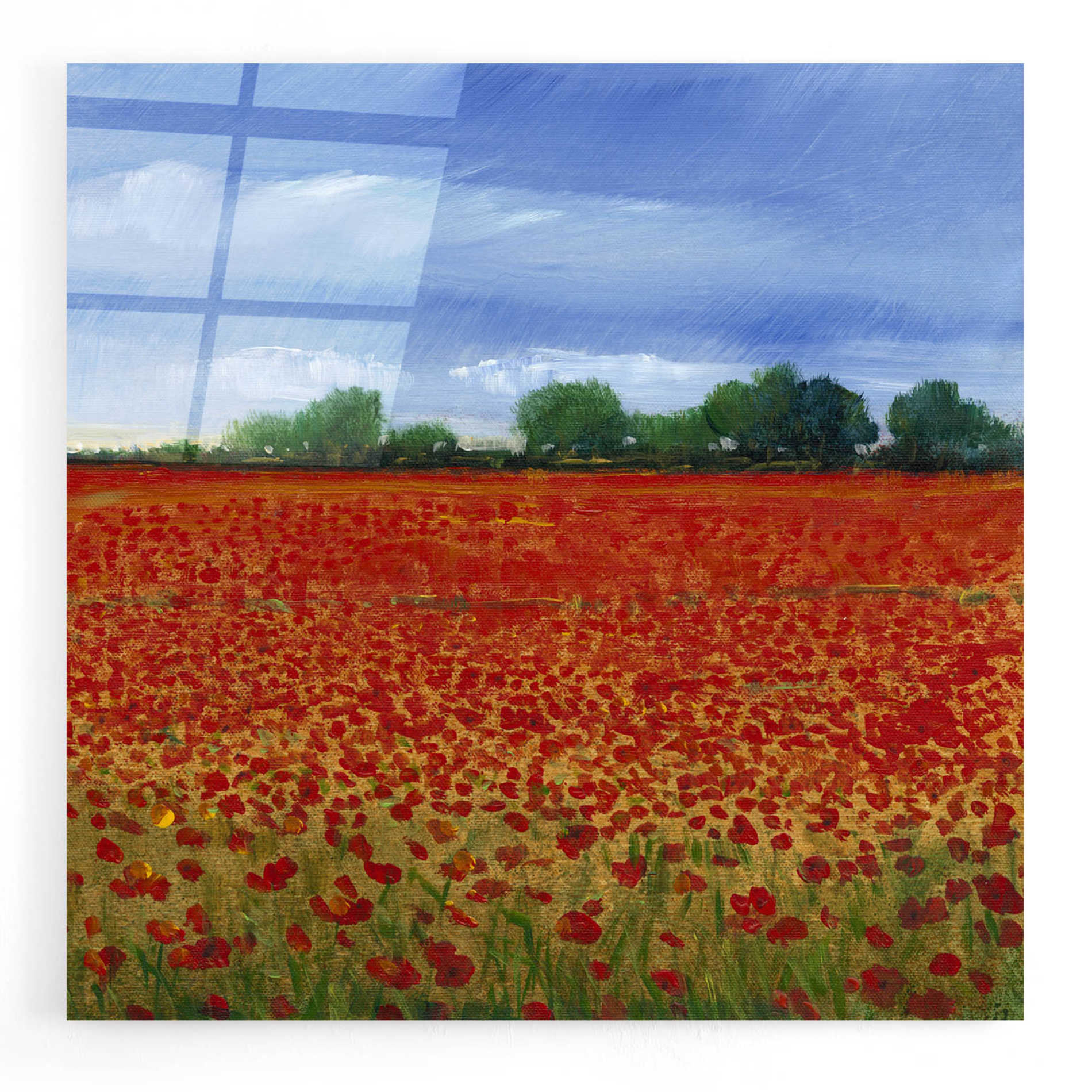 Epic Art 'Field of Poppies II' by Tim O'Toole, Acrylic Glass Wall Art,24x24