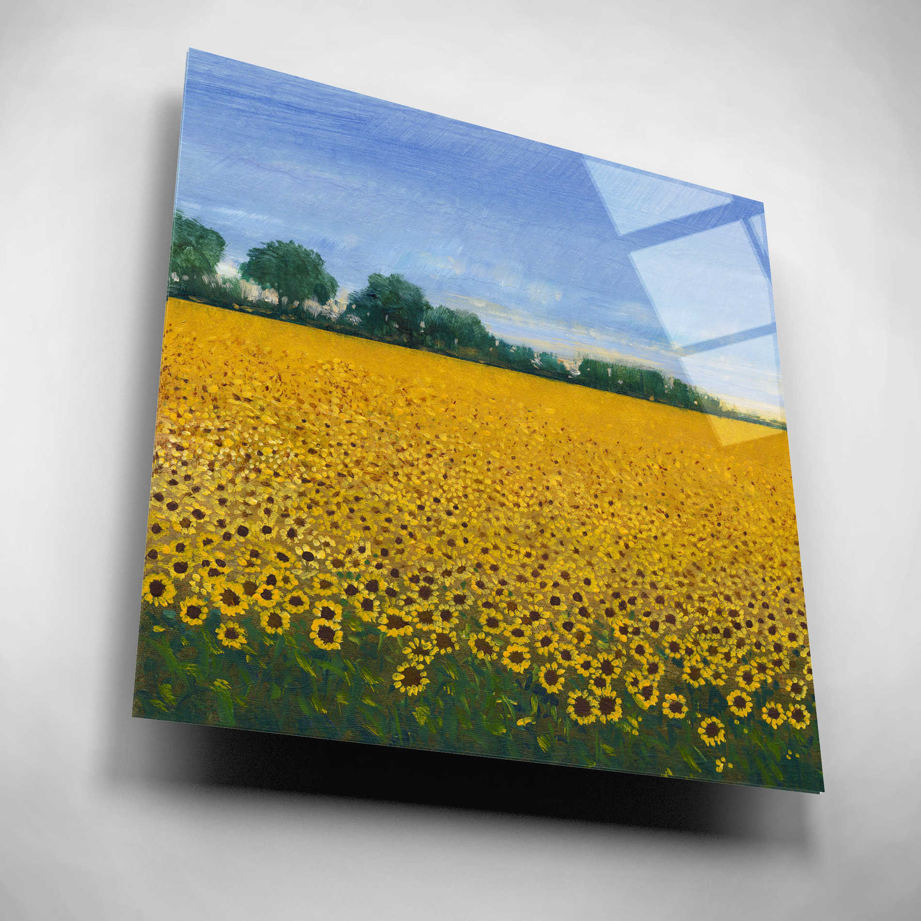 Epic Art 'Field of Sunflowers I' by Tim O'Toole, Acrylic Glass Wall Art,12x12