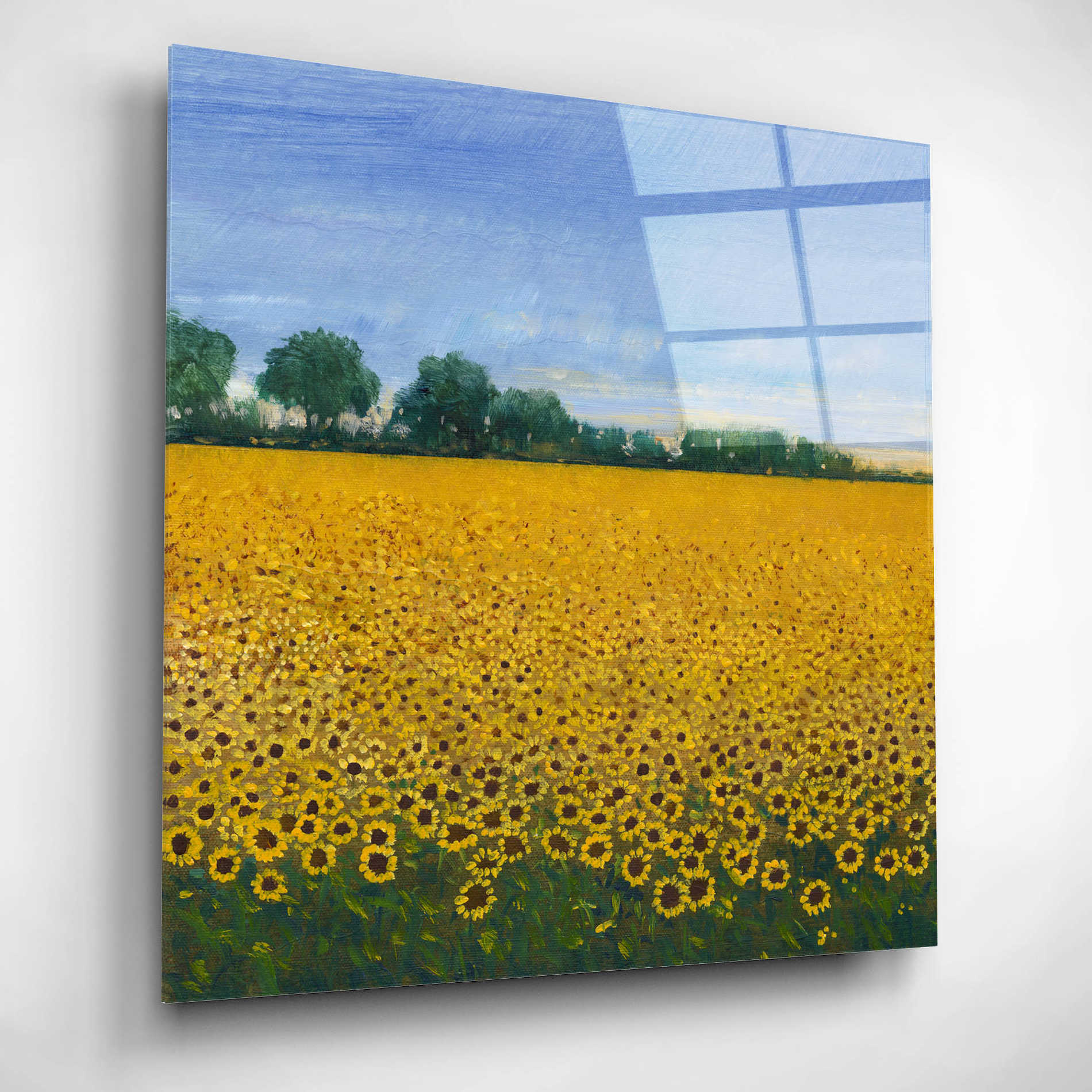 Epic Art 'Field of Sunflowers I' by Tim O'Toole, Acrylic Glass Wall Art,12x12