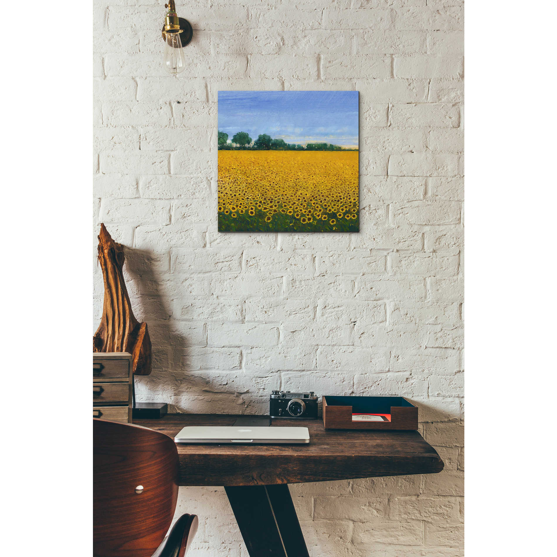 Epic Art 'Field of Sunflowers I' by Tim O'Toole, Acrylic Glass Wall Art,12x12