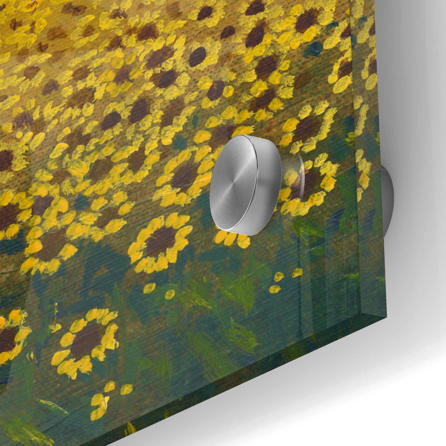 Epic Art 'Field of Sunflowers I' by Tim O'Toole, Acrylic Glass Wall Art,24x24