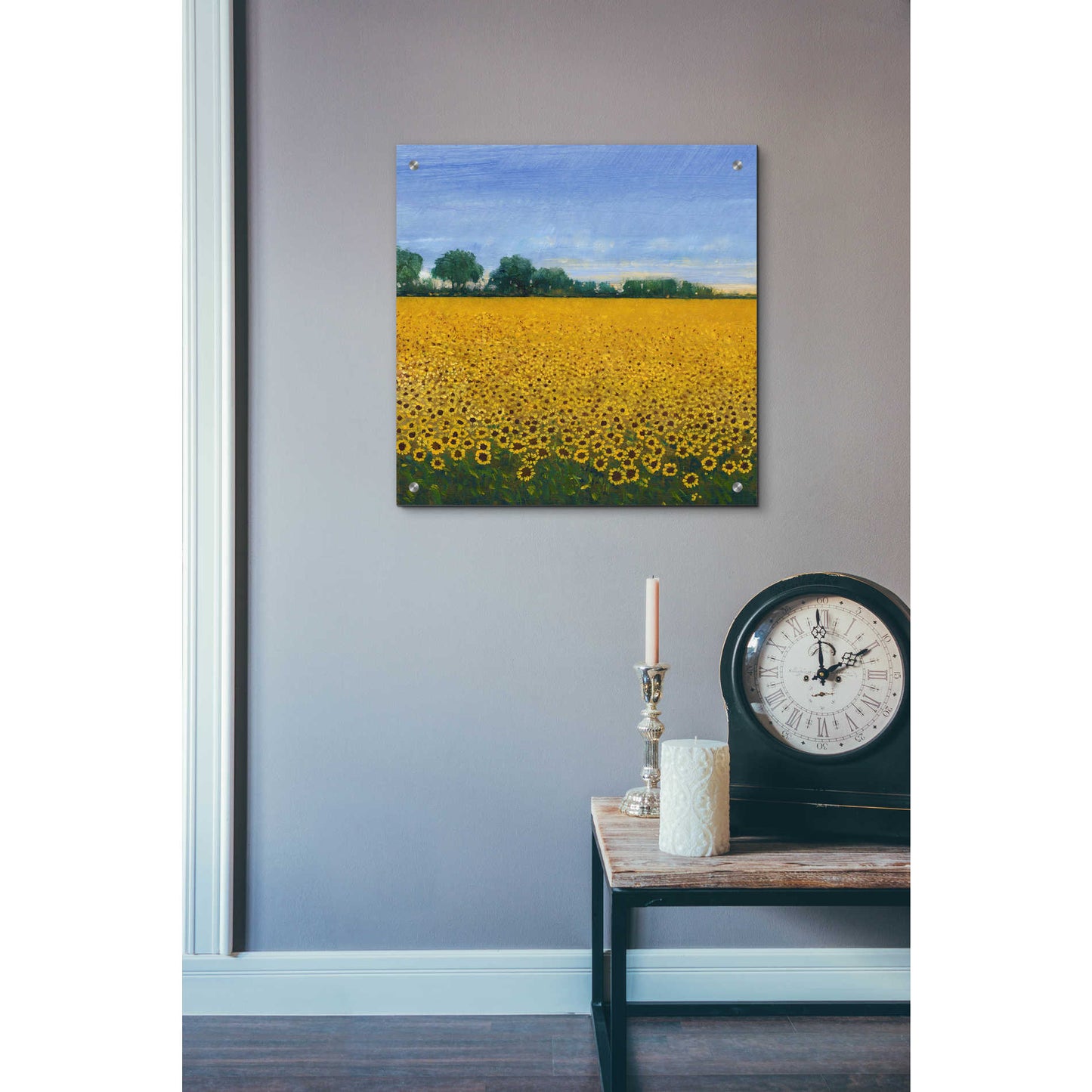 Epic Art 'Field of Sunflowers I' by Tim O'Toole, Acrylic Glass Wall Art,24x24