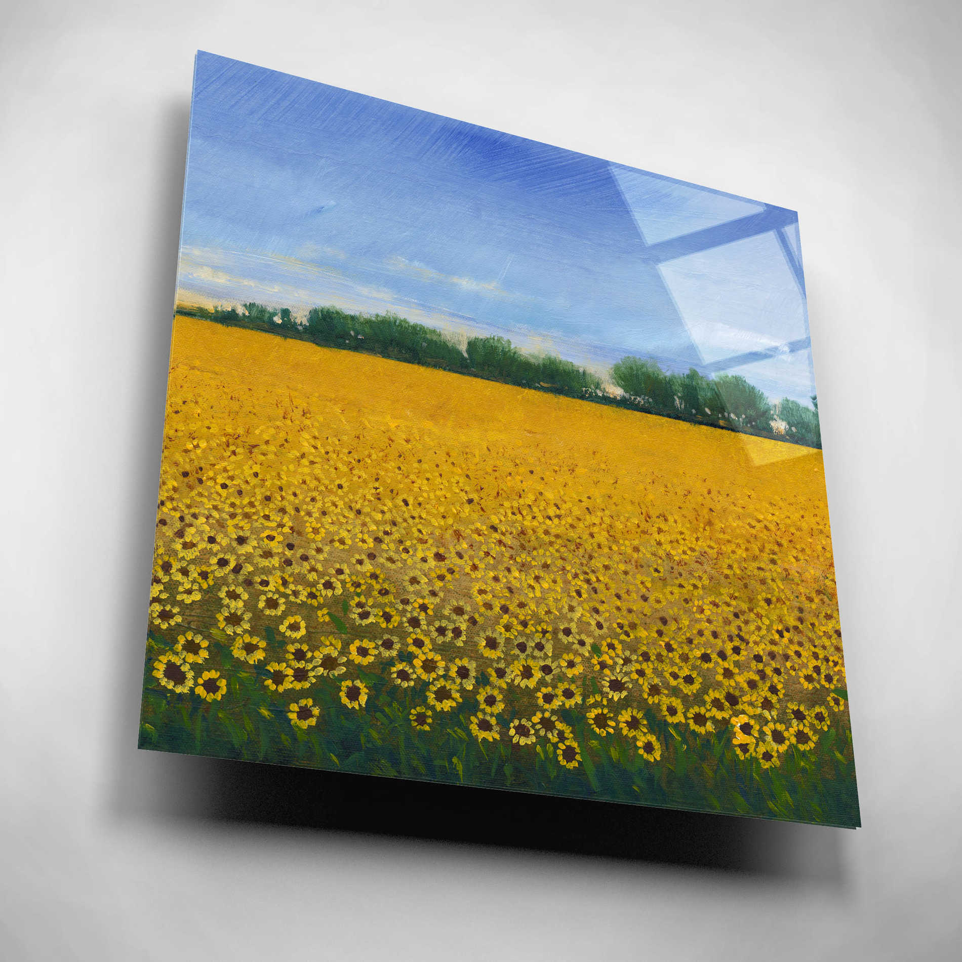Epic Art 'Field of Sunflowers II' by Tim O'Toole, Acrylic Glass Wall Art,12x12
