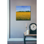 Epic Art 'Field of Sunflowers II' by Tim O'Toole, Acrylic Glass Wall Art,24x24