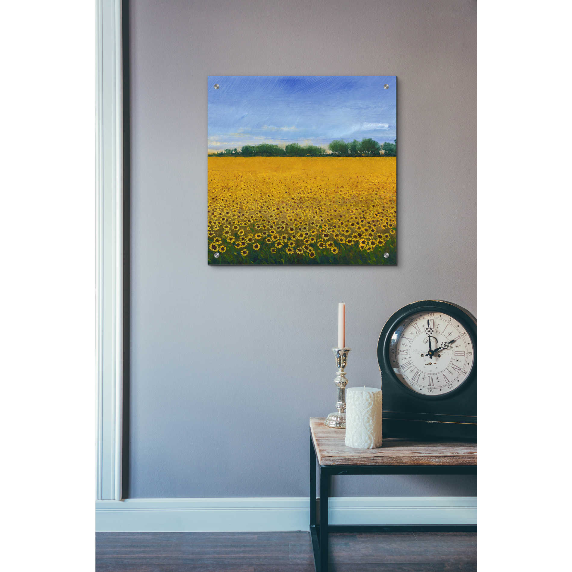 Epic Art 'Field of Sunflowers II' by Tim O'Toole, Acrylic Glass Wall Art,24x24