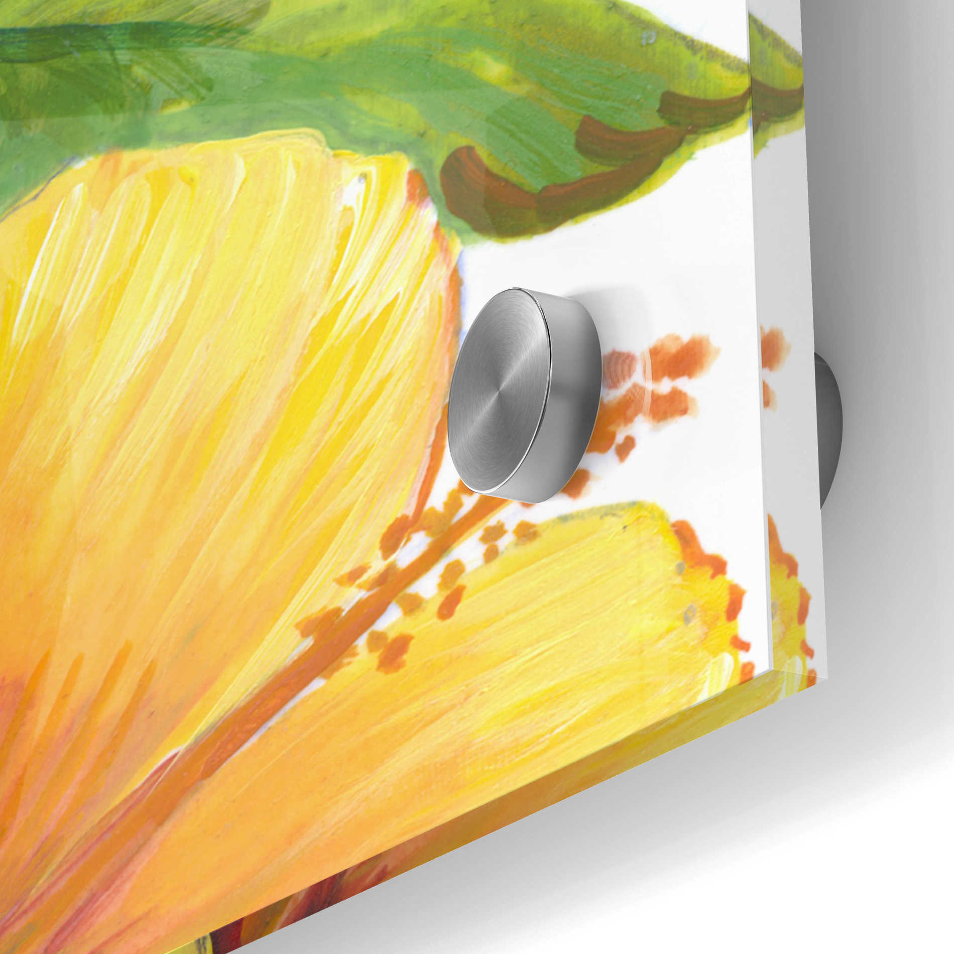 Epic Art 'Watercolor Hibiscus II' by Tim O'Toole, Acrylic Glass Wall Art,24x24
