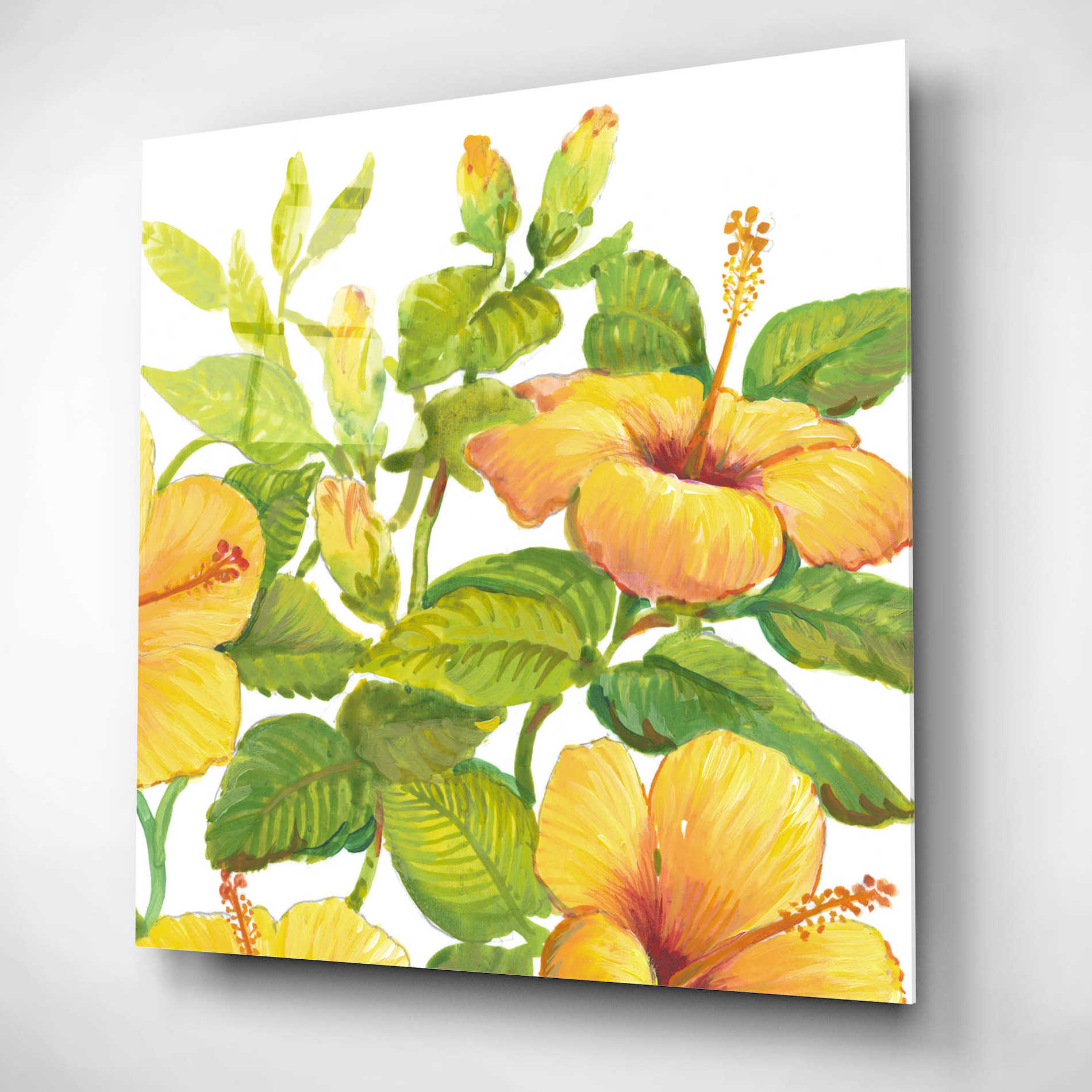 Epic Art 'Watercolor Hibiscus II' by Tim O'Toole, Acrylic Glass Wall Art