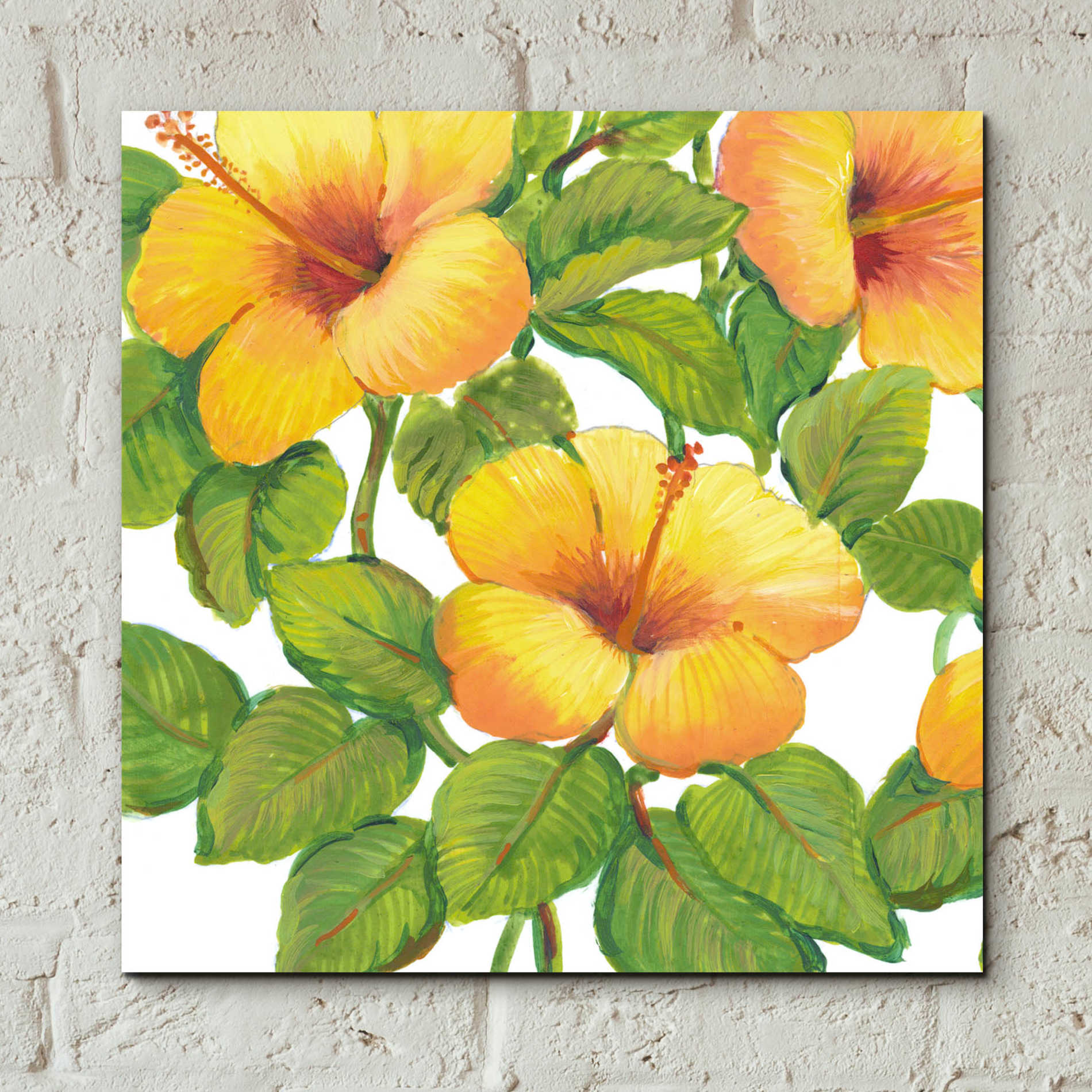 Epic Art 'Watercolor Hibiscus III' by Tim O'Toole, Acrylic Glass Wall Art,12x12