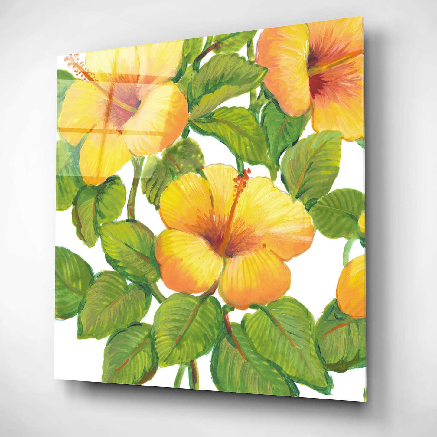 Epic Art 'Watercolor Hibiscus III' by Tim O'Toole, Acrylic Glass Wall Art,12x12