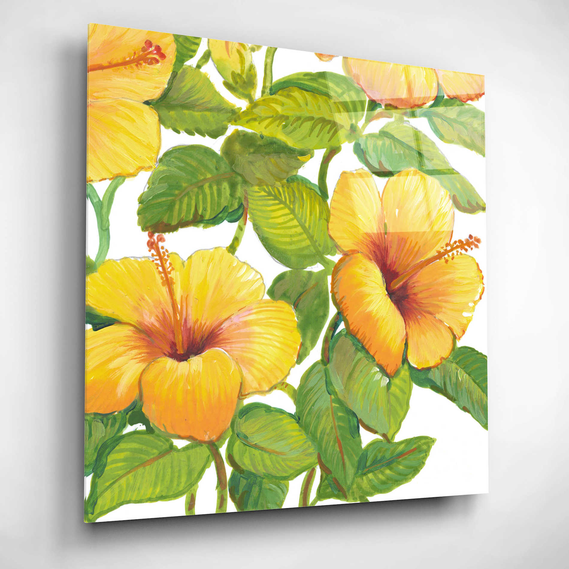 Epic Art 'Watercolor Hibiscus IV' by Tim O'Toole, Acrylic Glass Wall Art,12x12