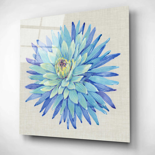 Epic Art 'Floral Portrait on Linen I' by Tim O'Toole, Acrylic Glass Wall Art