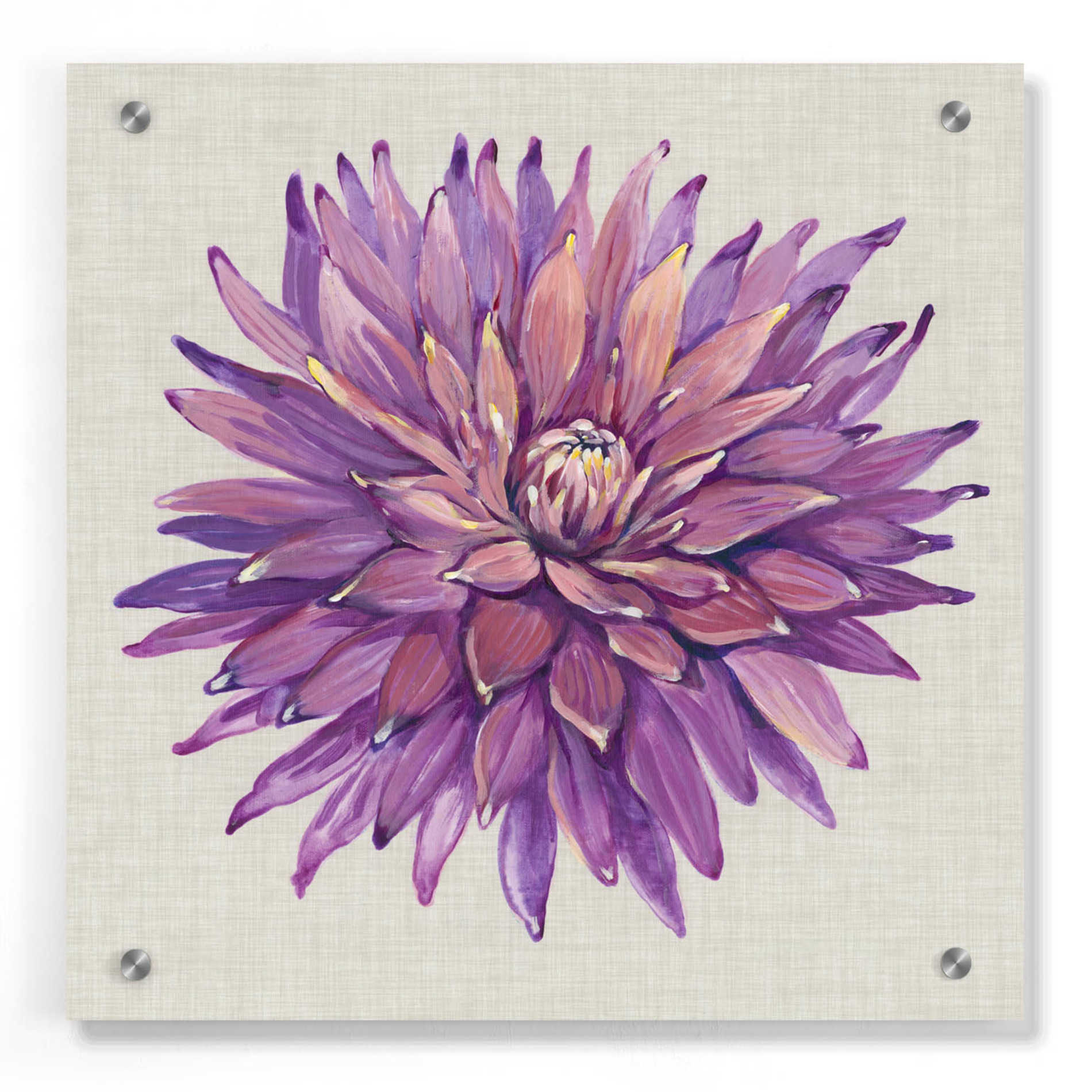 Epic Art 'Floral Portrait on Linen II' by Tim O'Toole, Acrylic Glass Wall Art,36x36