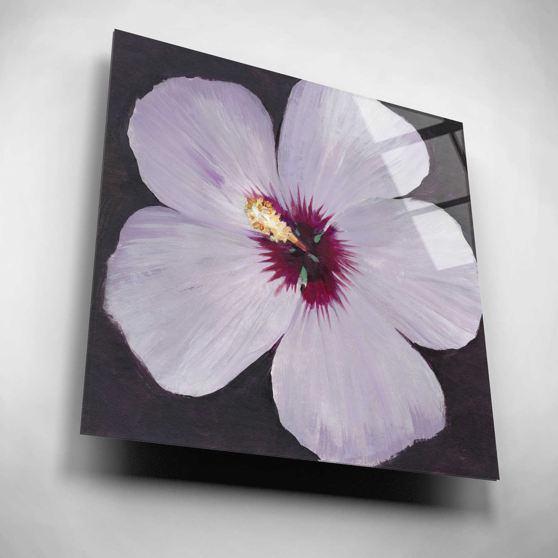 Epic Art 'Hibiscus Portrait I' by Tim O'Toole, Acrylic Glass Wall Art,12x12