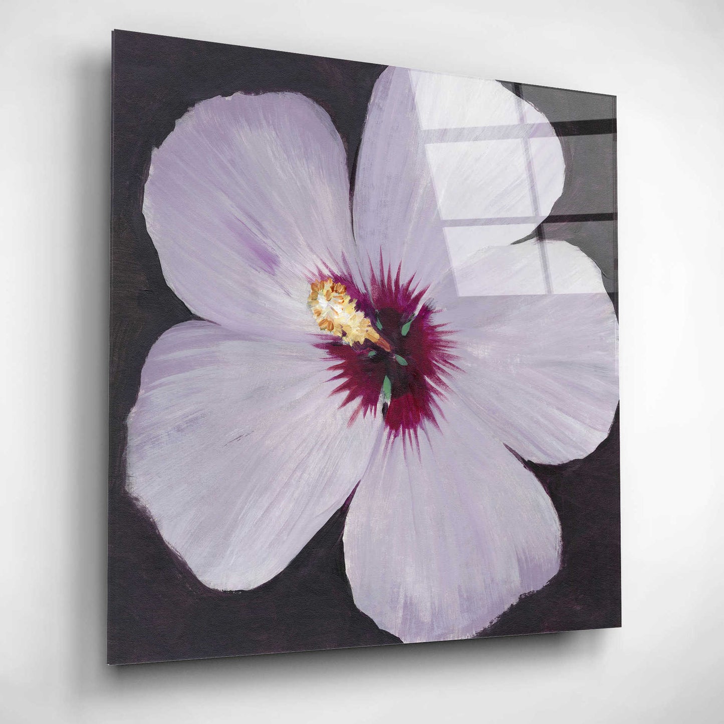 Epic Art 'Hibiscus Portrait I' by Tim O'Toole, Acrylic Glass Wall Art,12x12