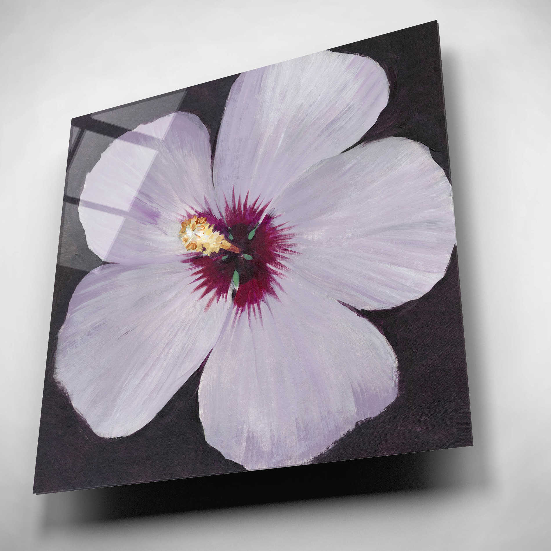 Epic Art 'Hibiscus Portrait I' by Tim O'Toole, Acrylic Glass Wall Art,12x12