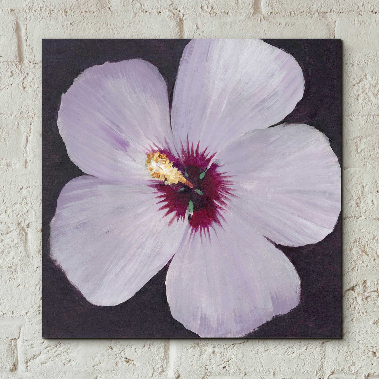 Epic Art 'Hibiscus Portrait I' by Tim O'Toole, Acrylic Glass Wall Art,12x12