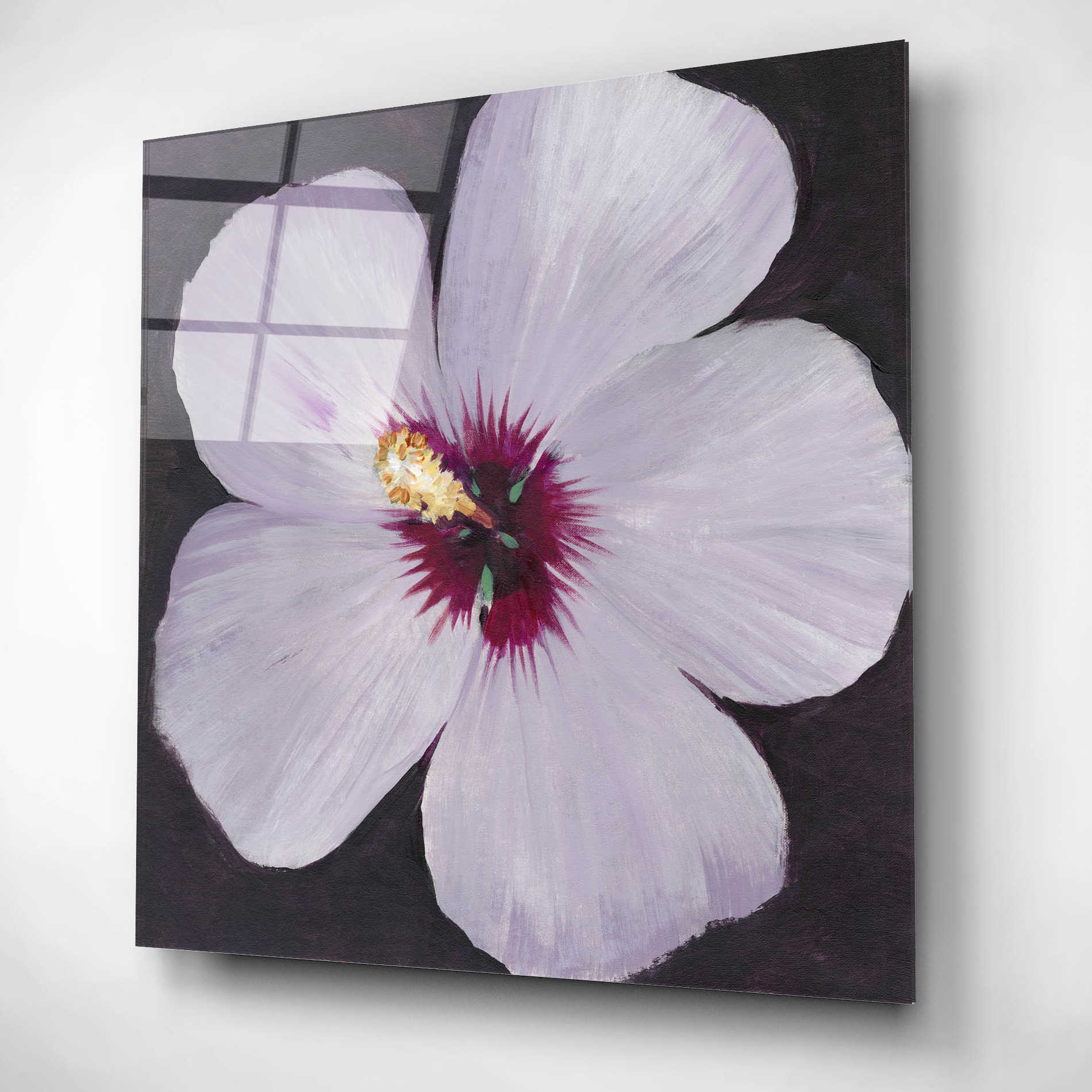 Epic Art 'Hibiscus Portrait I' by Tim O'Toole, Acrylic Glass Wall Art,12x12