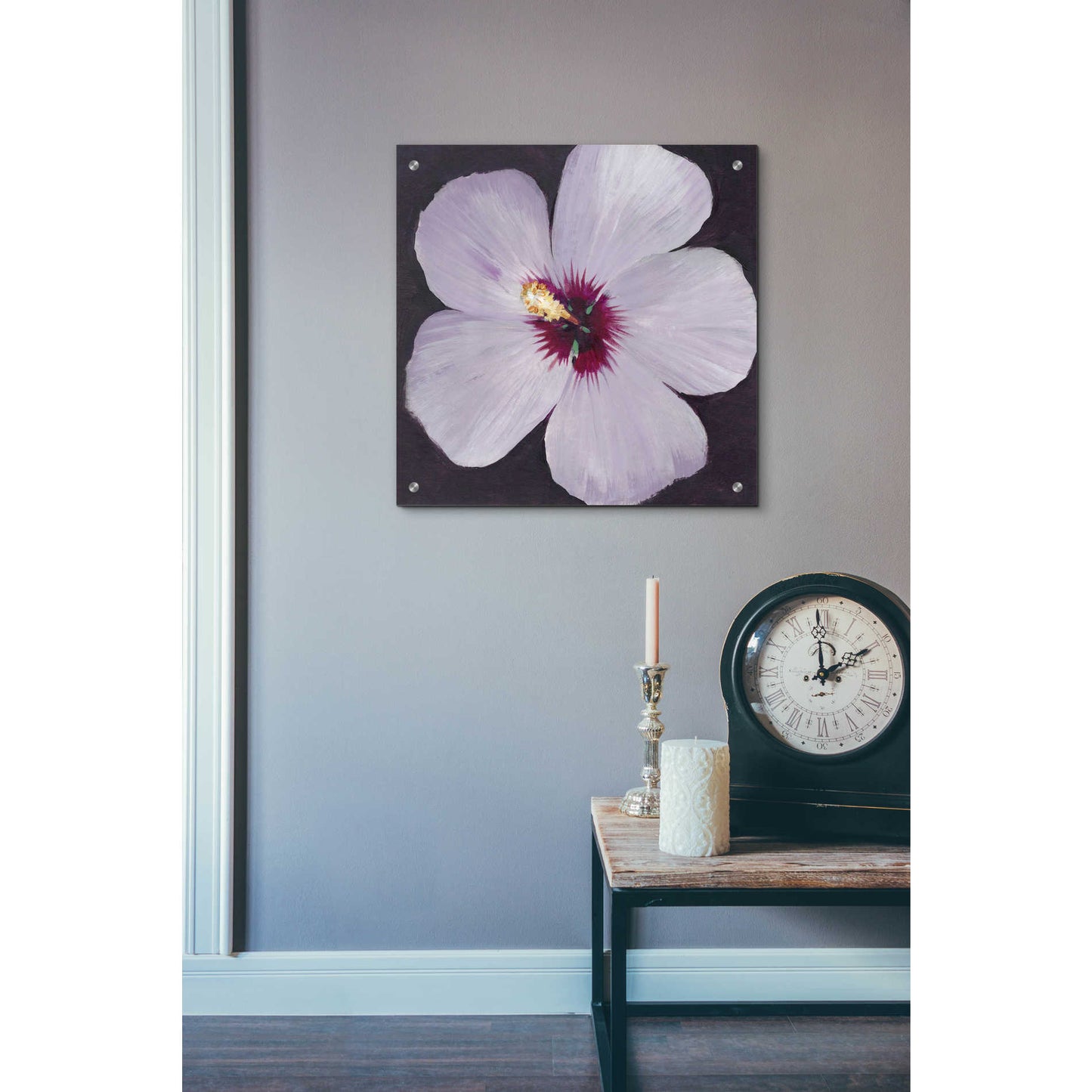 Epic Art 'Hibiscus Portrait I' by Tim O'Toole, Acrylic Glass Wall Art,24x24