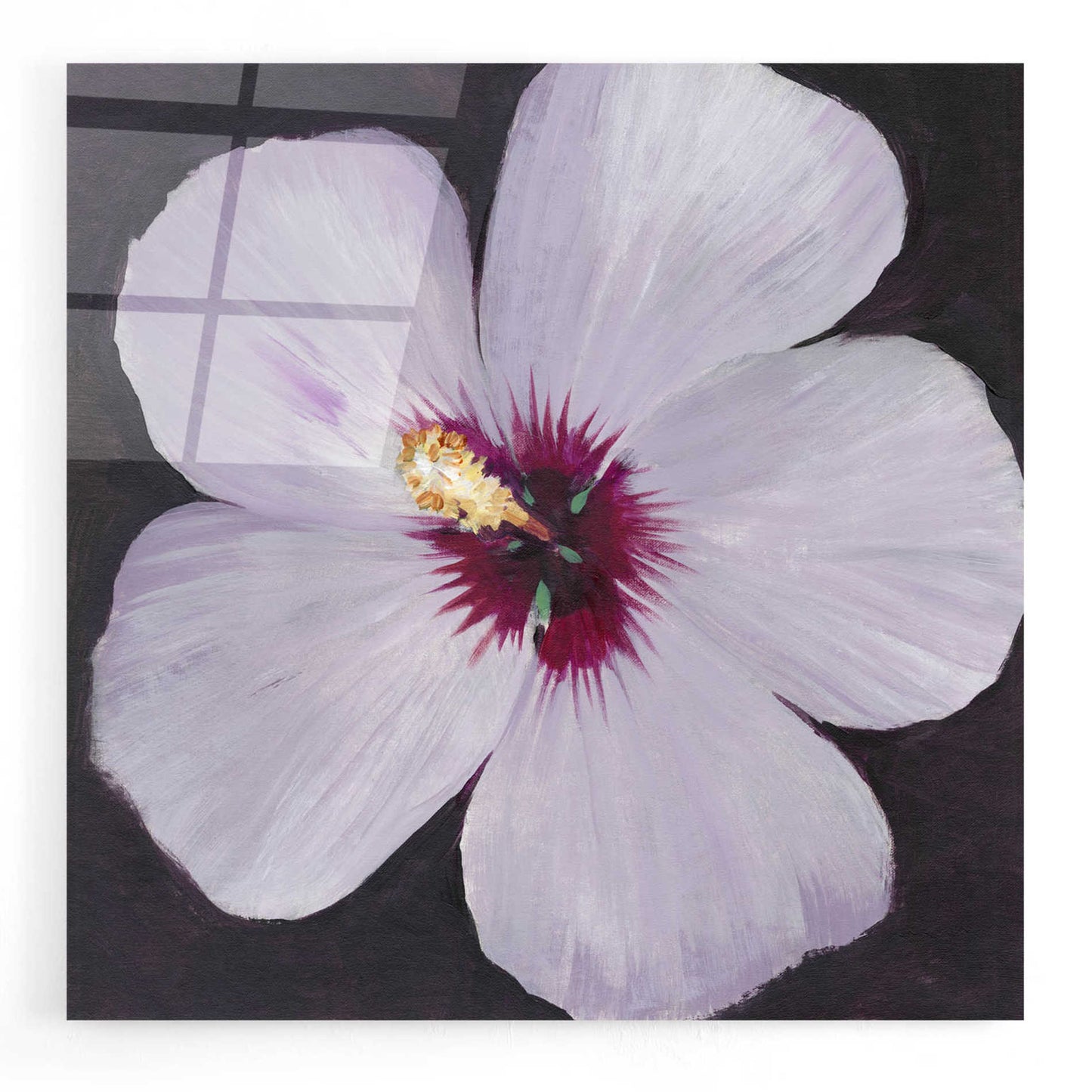 Epic Art 'Hibiscus Portrait I' by Tim O'Toole, Acrylic Glass Wall Art,24x24