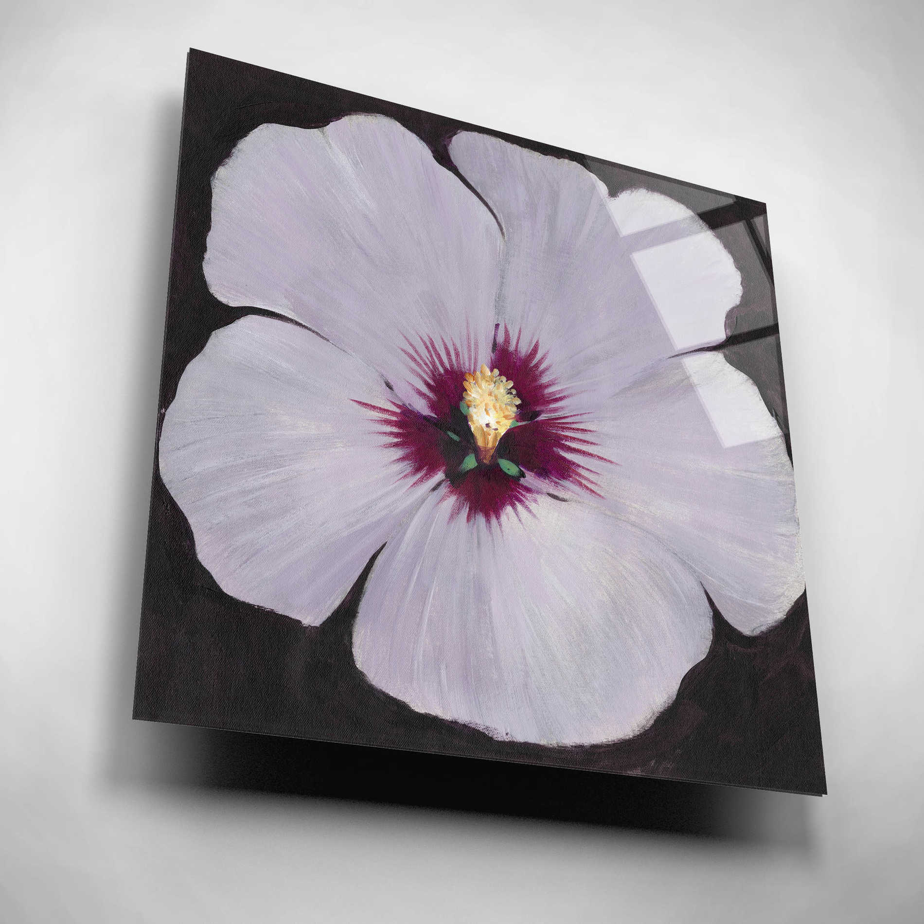 Epic Art 'Hibiscus Portrait II' by Tim O'Toole, Acrylic Glass Wall Art,12x12