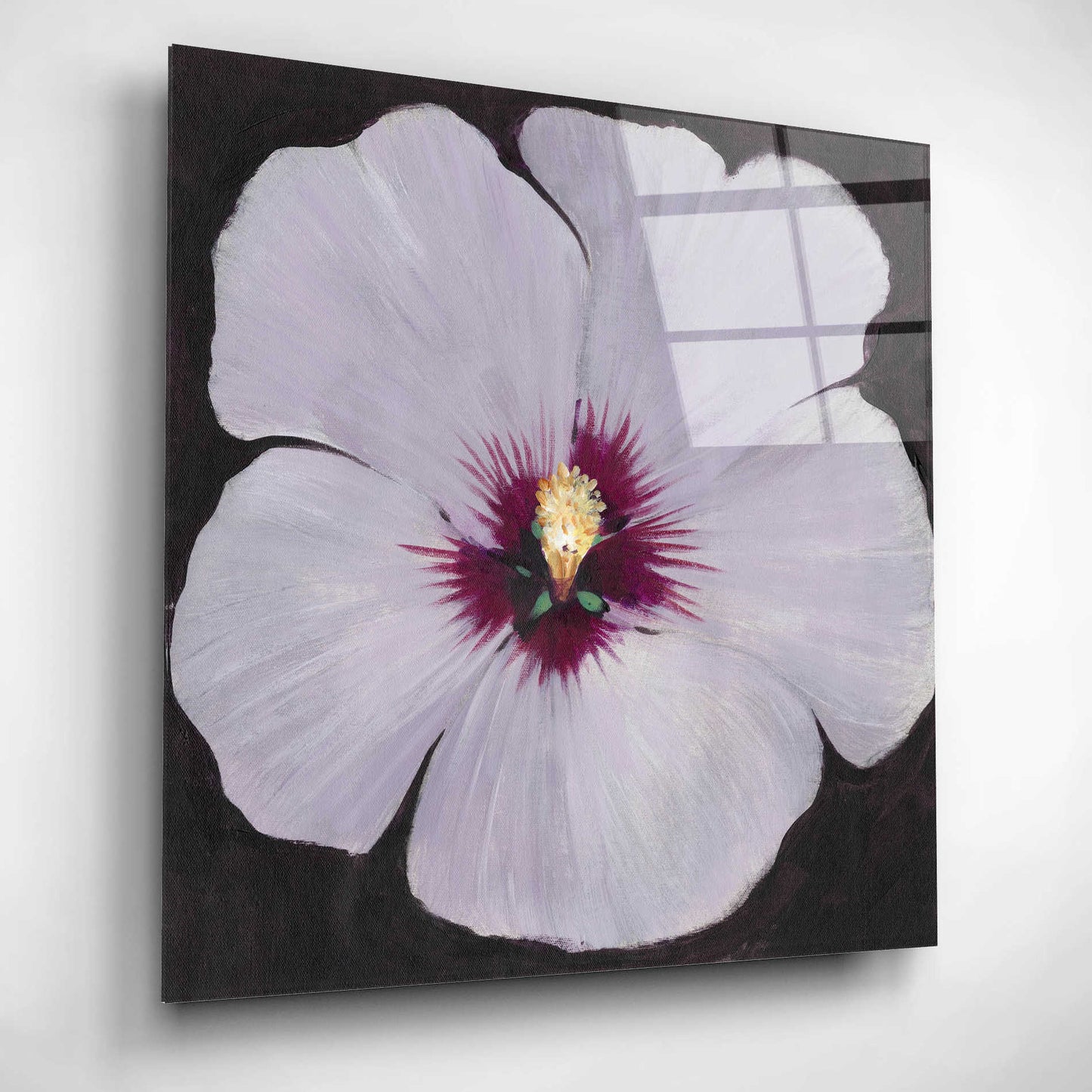 Epic Art 'Hibiscus Portrait II' by Tim O'Toole, Acrylic Glass Wall Art,12x12