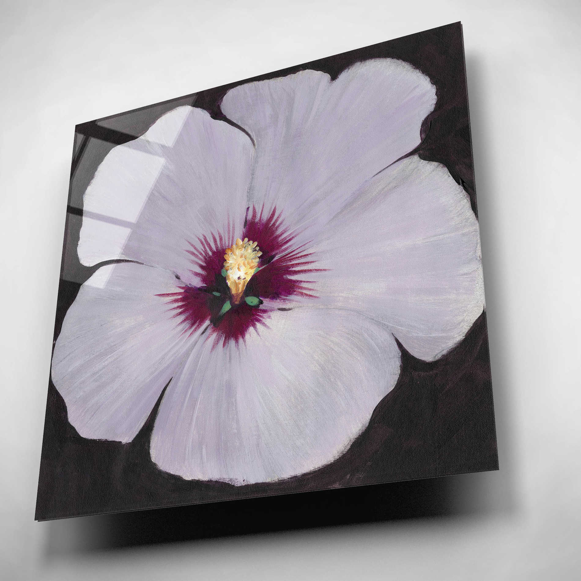 Epic Art 'Hibiscus Portrait II' by Tim O'Toole, Acrylic Glass Wall Art,12x12