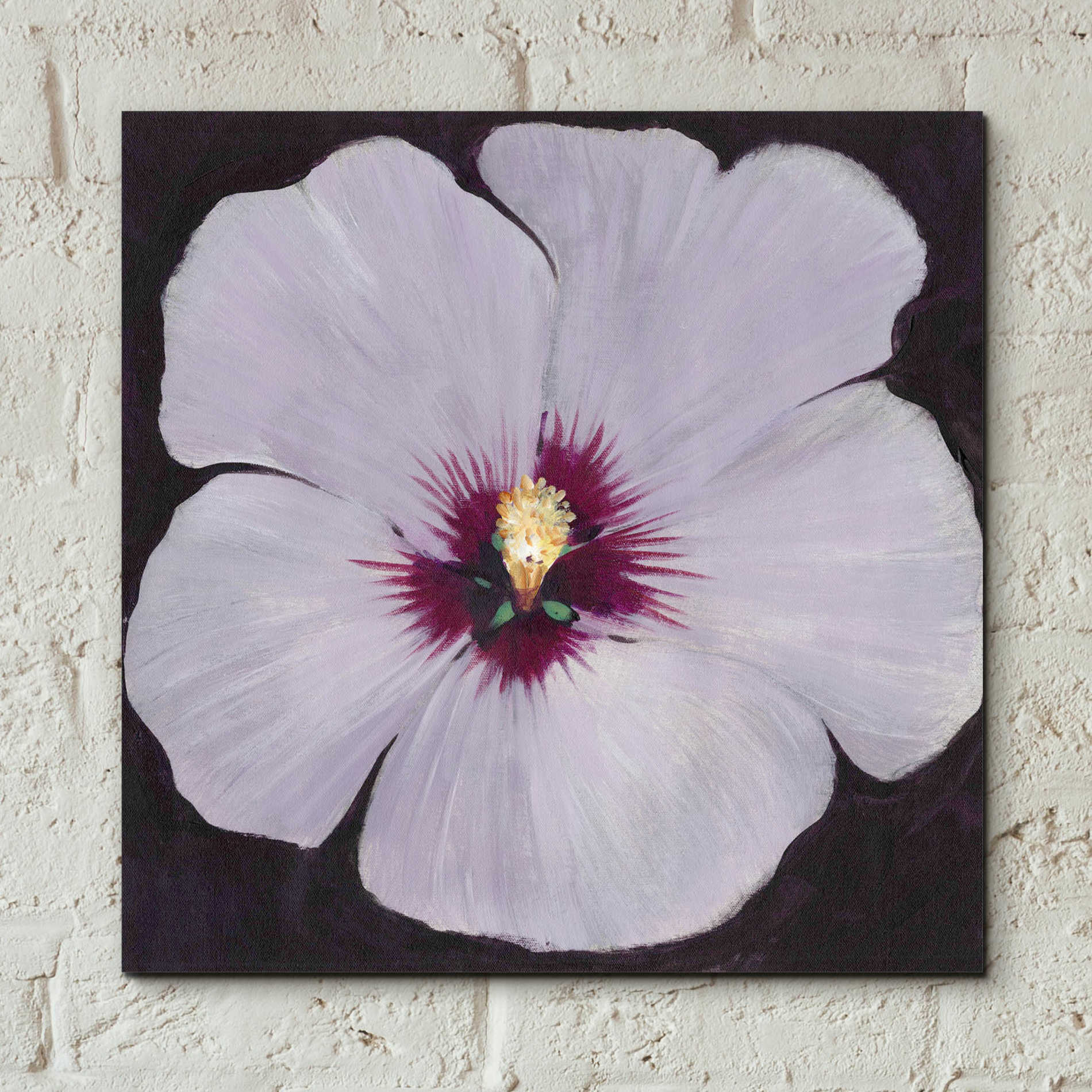 Epic Art 'Hibiscus Portrait II' by Tim O'Toole, Acrylic Glass Wall Art,12x12