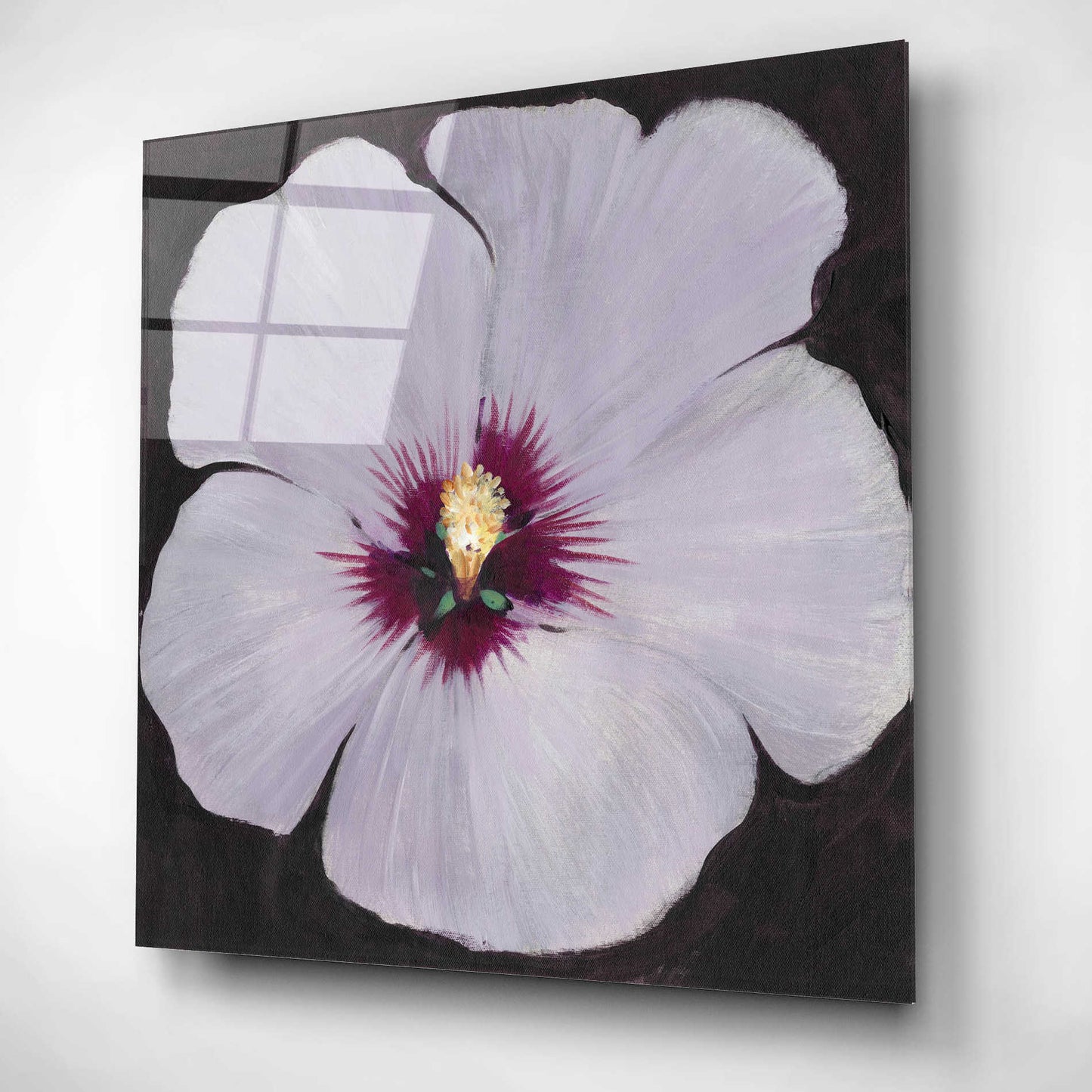 Epic Art 'Hibiscus Portrait II' by Tim O'Toole, Acrylic Glass Wall Art,12x12