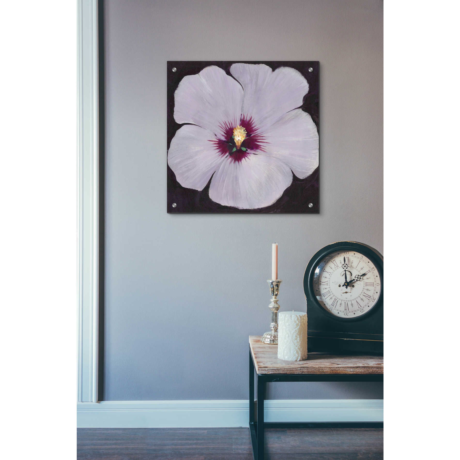 Epic Art 'Hibiscus Portrait II' by Tim O'Toole, Acrylic Glass Wall Art,24x24