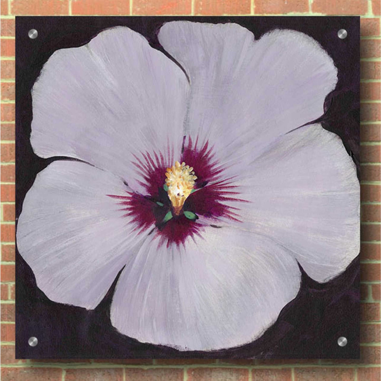 Epic Art 'Hibiscus Portrait II' by Tim O'Toole, Acrylic Glass Wall Art,36x36