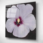 Epic Art 'Hibiscus Portrait II' by Tim O'Toole, Acrylic Glass Wall Art