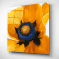 Epic Art 'Close-Up I' by Tim O'Toole, Acrylic Glass Wall Art