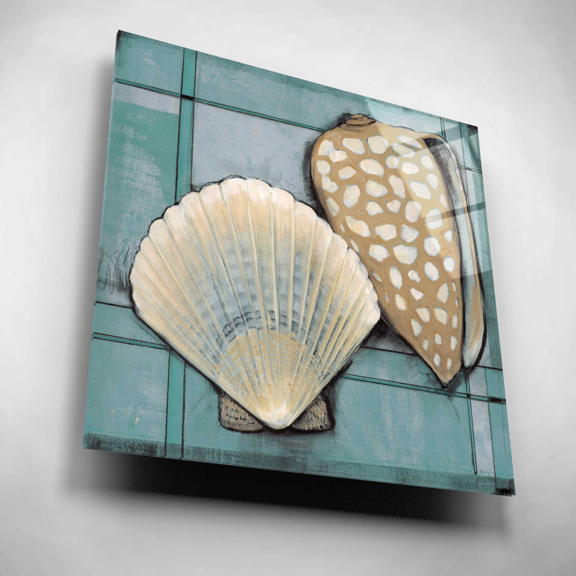 Epic Art 'Seashell Sketch I' by Tim O'Toole, Acrylic Glass Wall Art,12x12