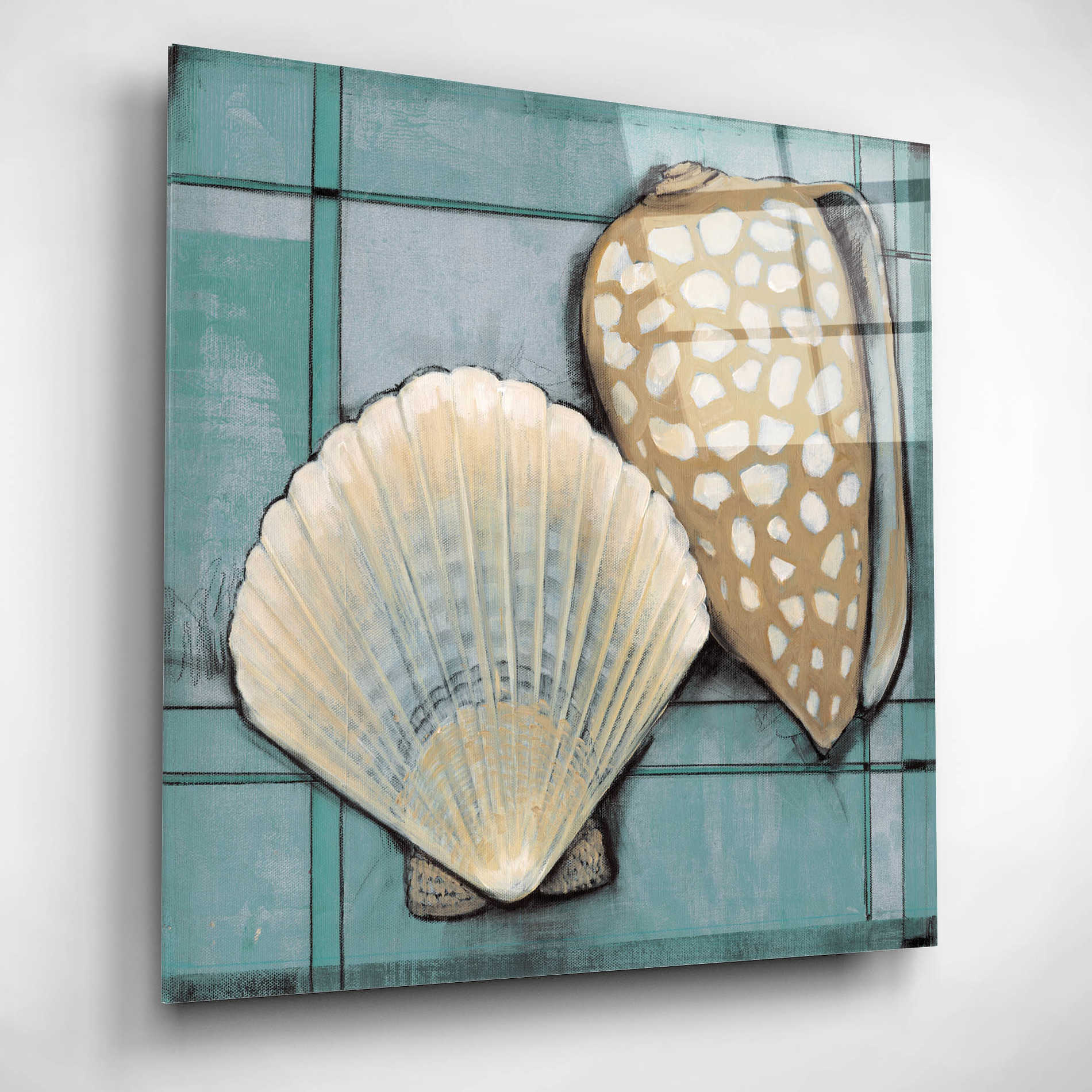 Epic Art 'Seashell Sketch I' by Tim O'Toole, Acrylic Glass Wall Art,12x12