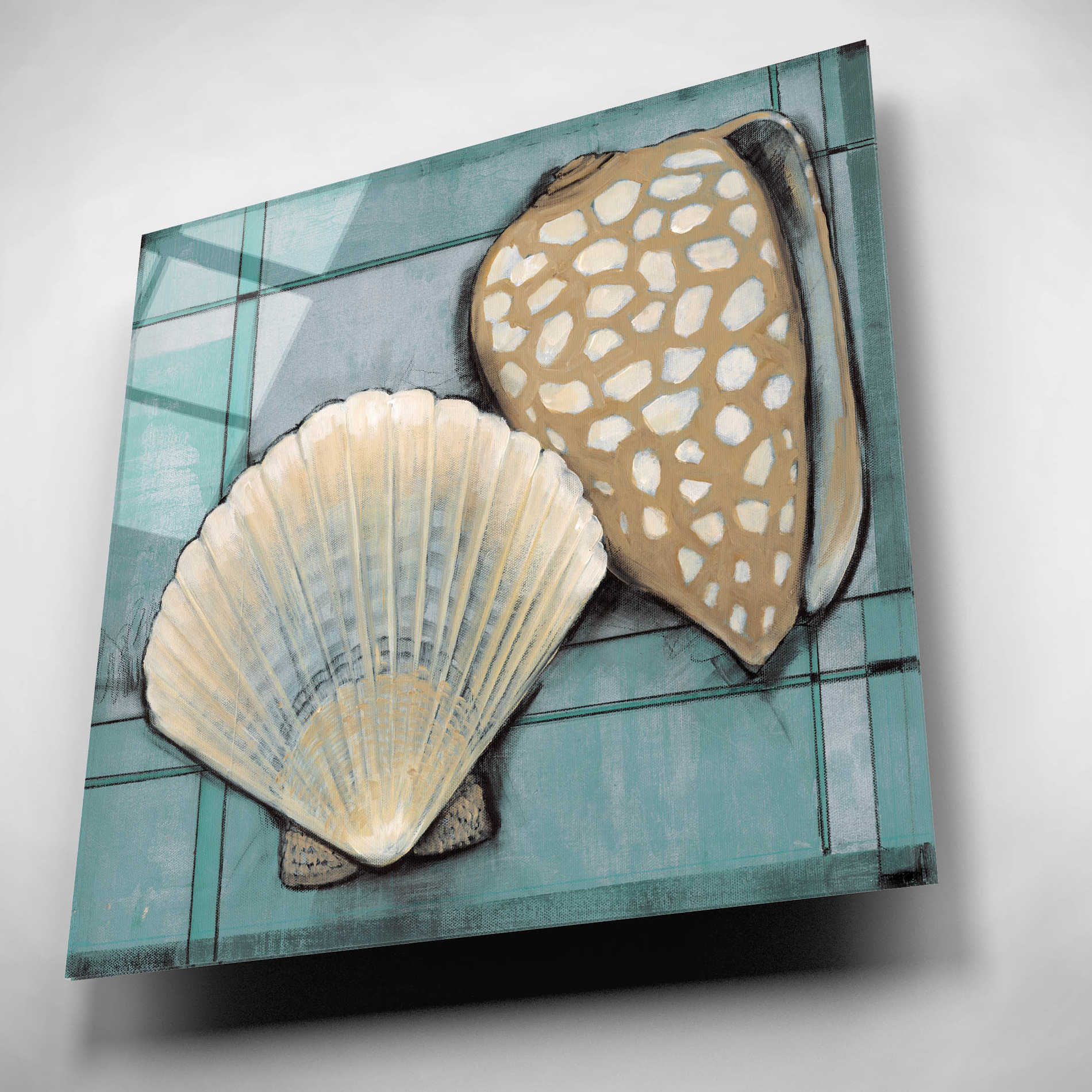 Epic Art 'Seashell Sketch I' by Tim O'Toole, Acrylic Glass Wall Art,12x12