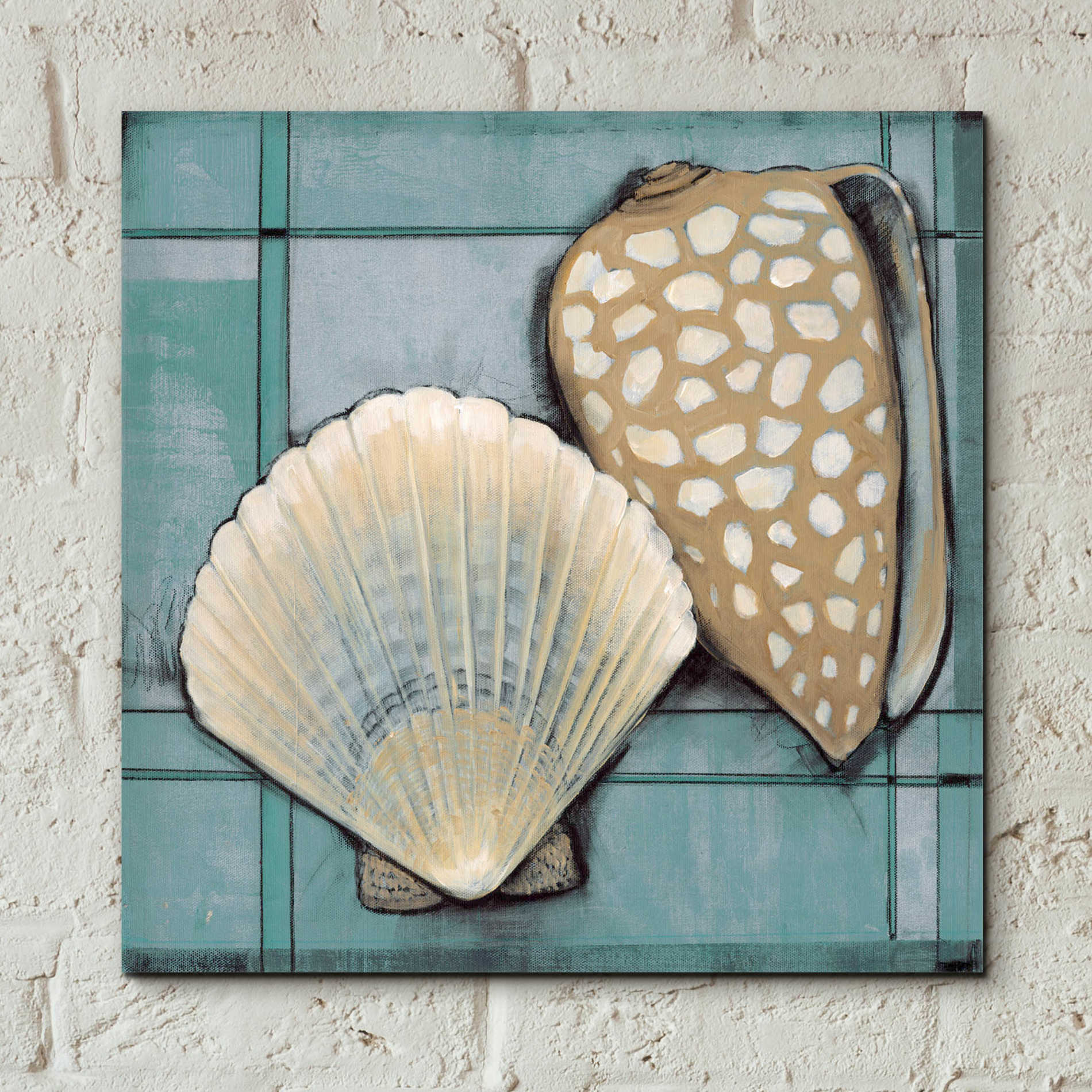 Epic Art 'Seashell Sketch I' by Tim O'Toole, Acrylic Glass Wall Art,12x12