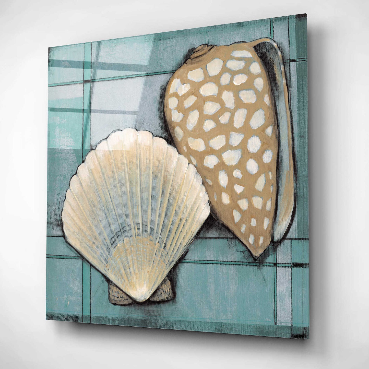 Epic Art 'Seashell Sketch I' by Tim O'Toole, Acrylic Glass Wall Art,12x12