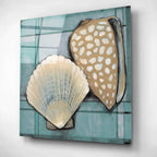 Epic Art 'Seashell Sketch I' by Tim O'Toole, Acrylic Glass Wall Art