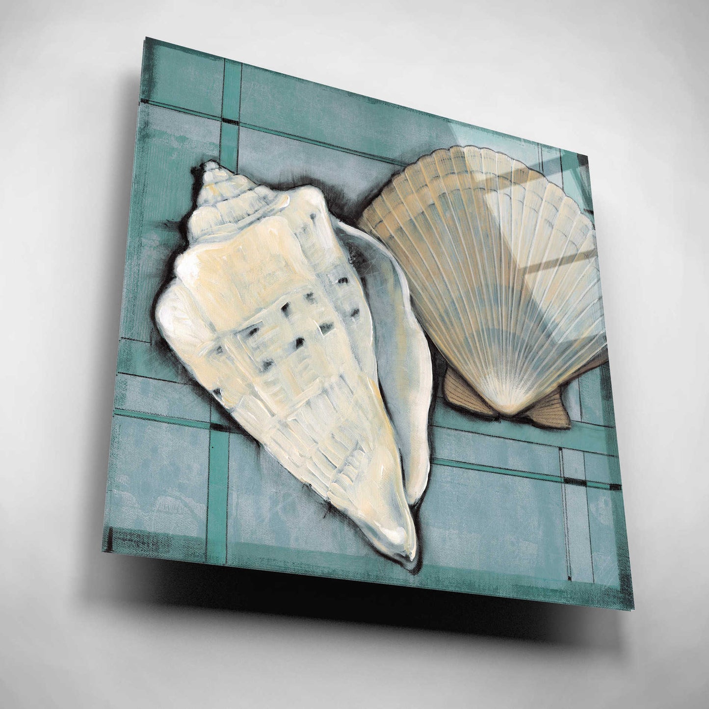 Epic Art 'Seashell Sketch II' by Tim O'Toole, Acrylic Glass Wall Art,12x12