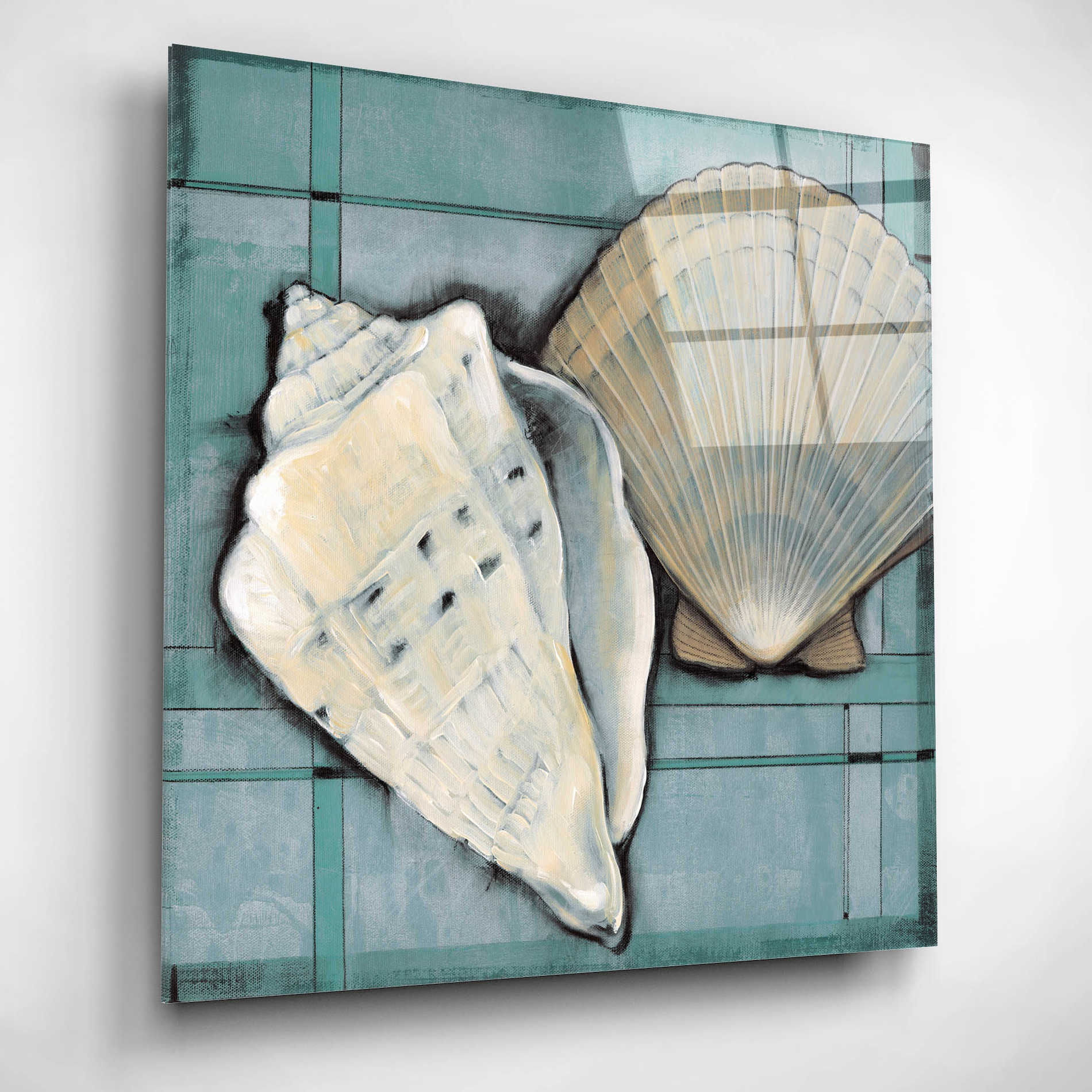 Epic Art 'Seashell Sketch II' by Tim O'Toole, Acrylic Glass Wall Art,12x12