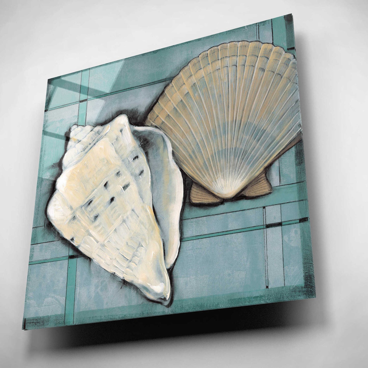 Epic Art 'Seashell Sketch II' by Tim O'Toole, Acrylic Glass Wall Art,12x12