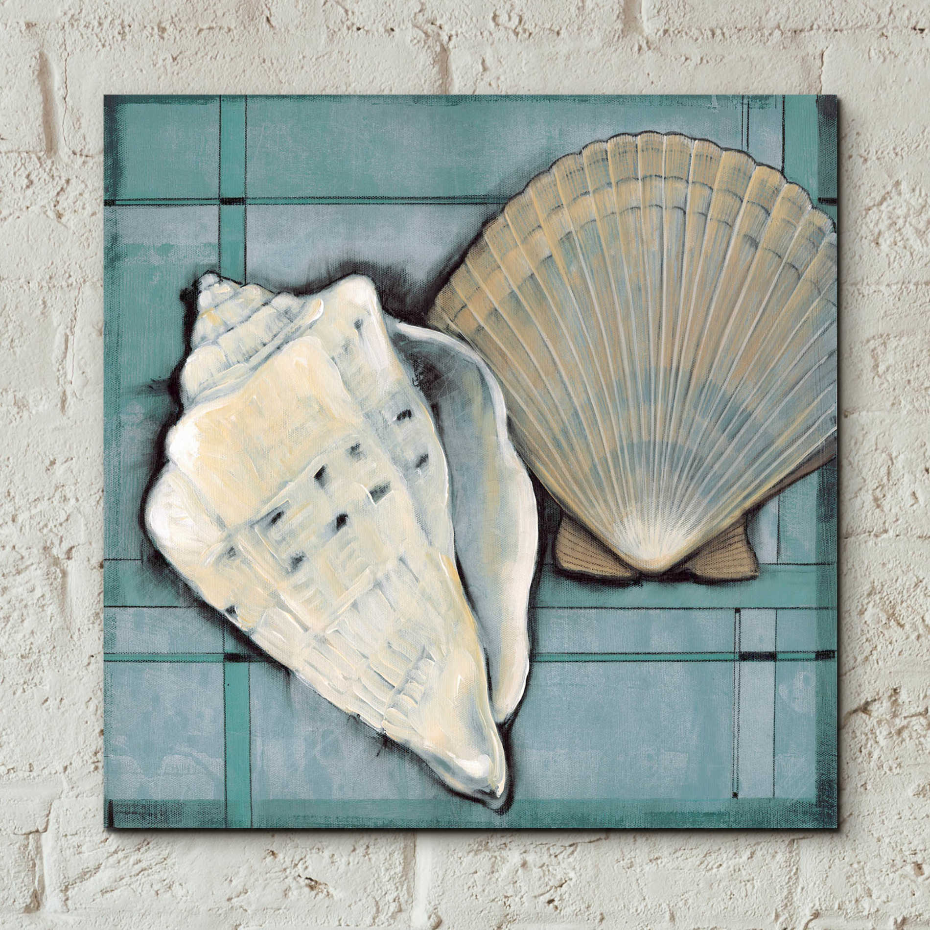 Epic Art 'Seashell Sketch II' by Tim O'Toole, Acrylic Glass Wall Art,12x12