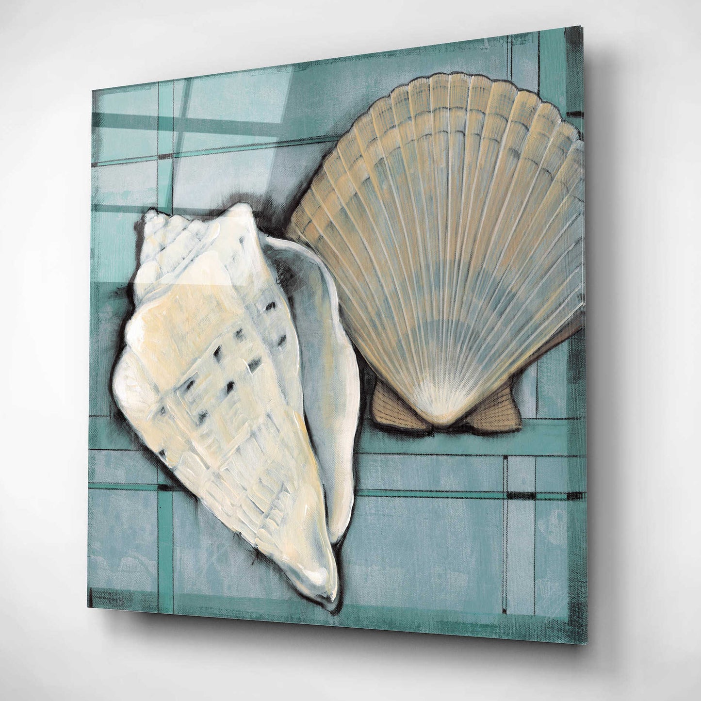 Epic Art 'Seashell Sketch II' by Tim O'Toole, Acrylic Glass Wall Art,12x12