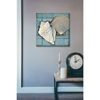 Epic Art 'Seashell Sketch II' by Tim O'Toole, Acrylic Glass Wall Art,24x24