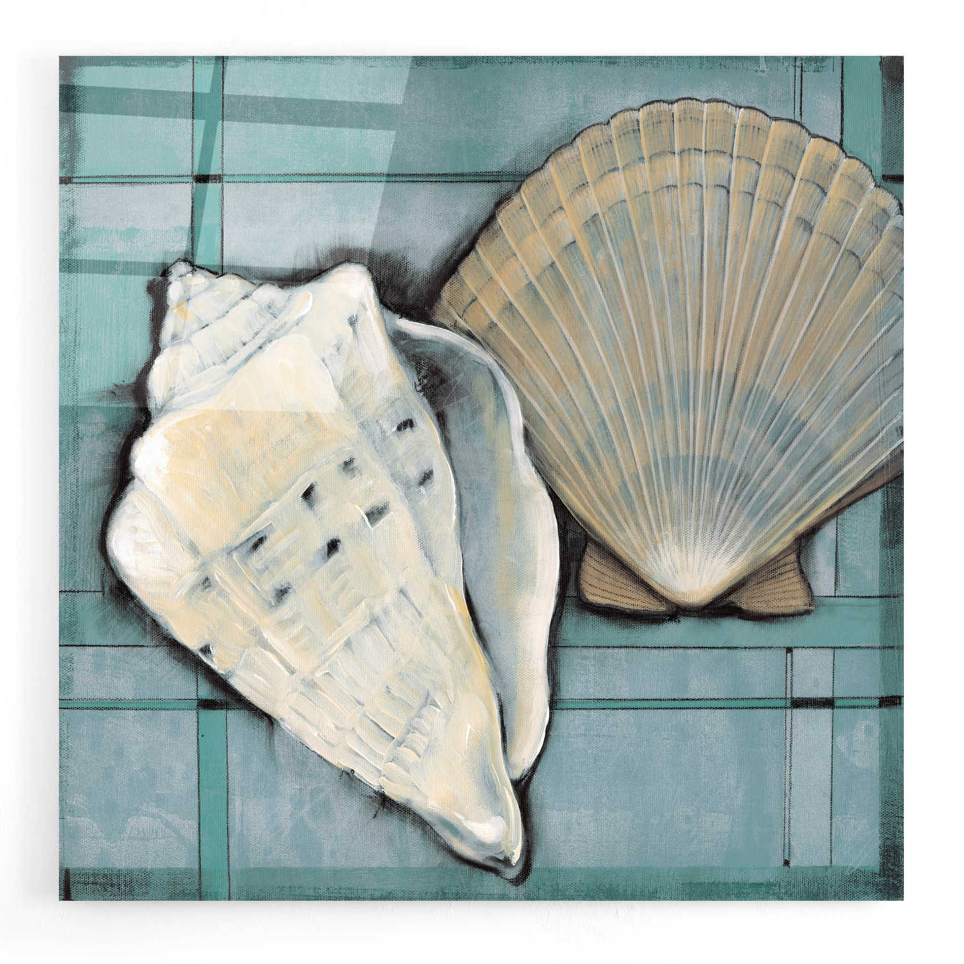 Epic Art 'Seashell Sketch II' by Tim O'Toole, Acrylic Glass Wall Art,24x24