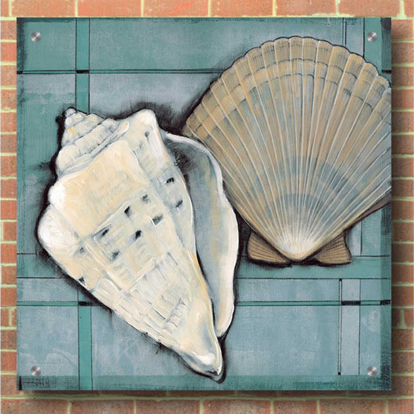 Epic Art 'Seashell Sketch II' by Tim O'Toole, Acrylic Glass Wall Art,36x36