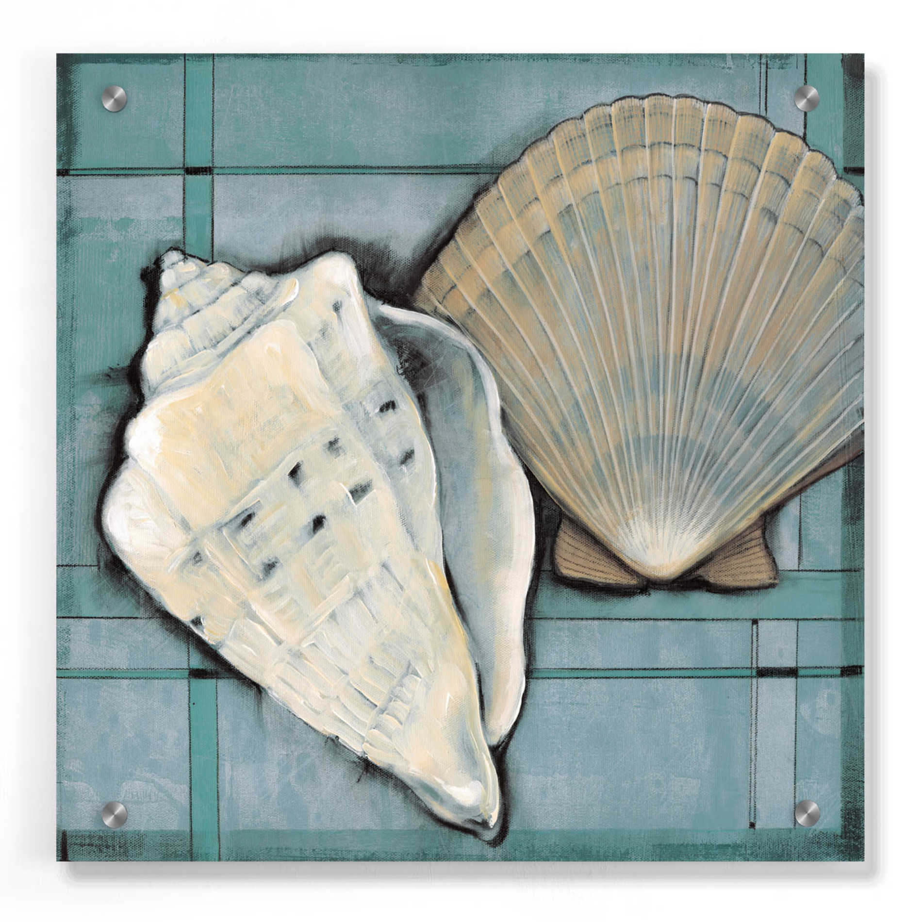 Epic Art 'Seashell Sketch II' by Tim O'Toole, Acrylic Glass Wall Art,36x36