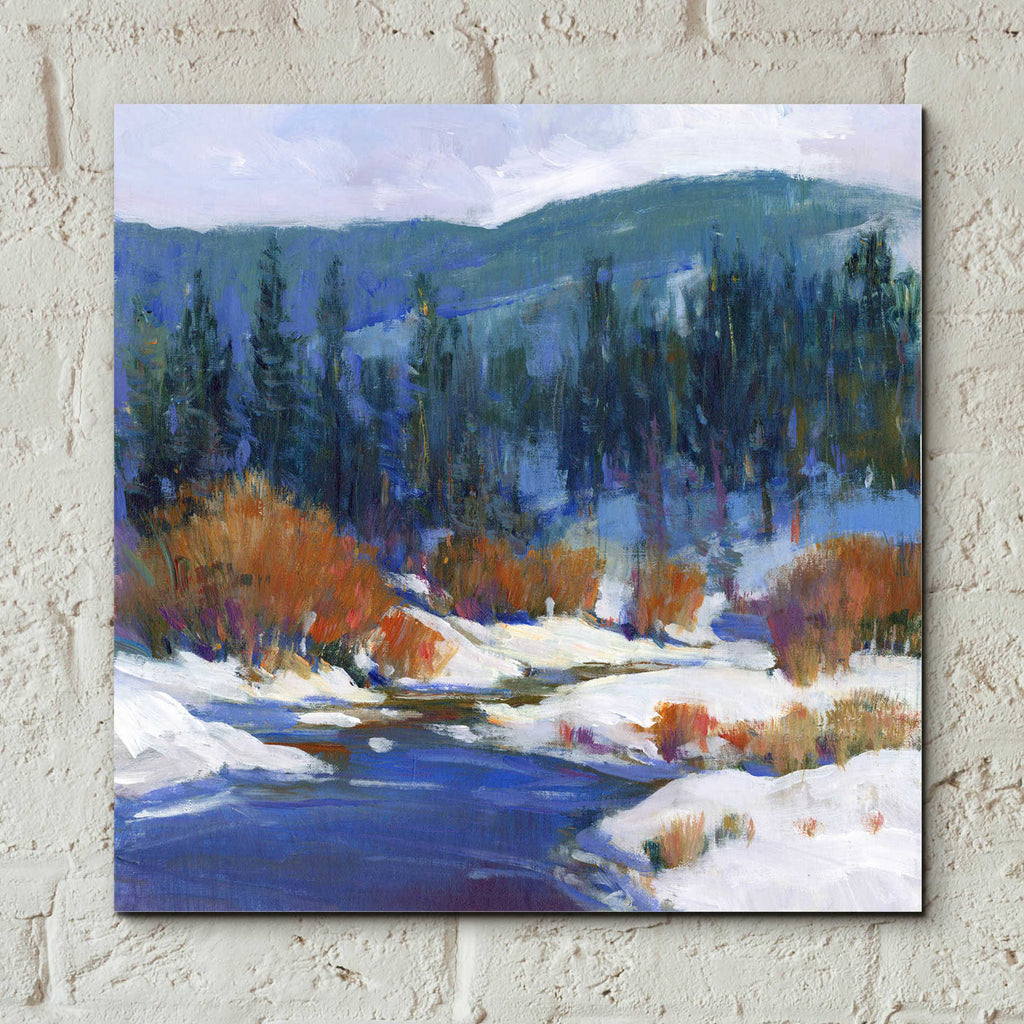 Epic Art 'Mountain Creek I' by Tim O'Toole, Acrylic Glass Wall Art,12x12