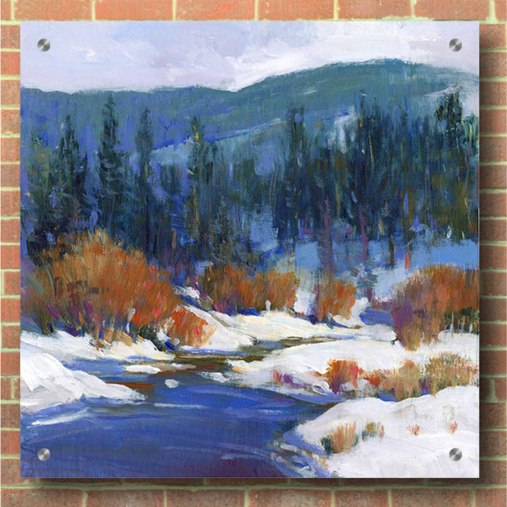 Epic Art 'Mountain Creek I' by Tim O'Toole, Acrylic Glass Wall Art,36x36