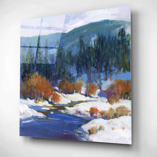 Epic Art 'Mountain Creek I' by Tim O'Toole, Acrylic Glass Wall Art